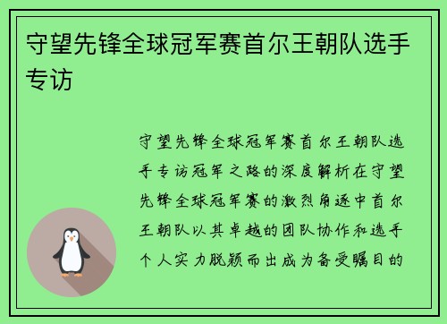 守望先锋全球冠军赛首尔王朝队选手专访