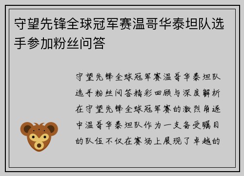 守望先锋全球冠军赛温哥华泰坦队选手参加粉丝问答