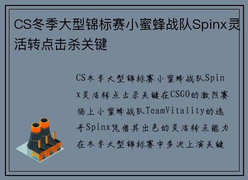 CS冬季大型锦标赛小蜜蜂战队Spinx灵活转点击杀关键