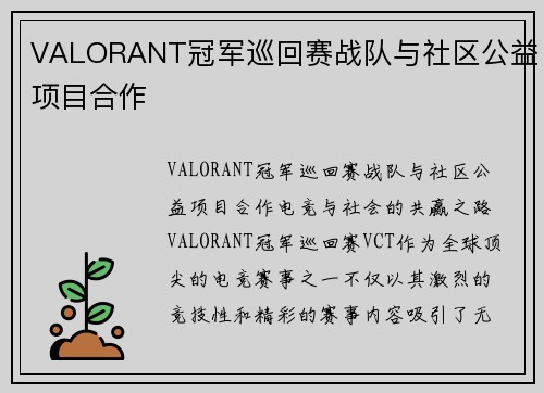 VALORANT冠军巡回赛战队与社区公益项目合作