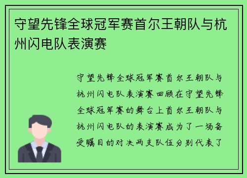 守望先锋全球冠军赛首尔王朝队与杭州闪电队表演赛