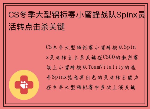 CS冬季大型锦标赛小蜜蜂战队Spinx灵活转点击杀关键