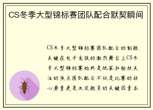 CS冬季大型锦标赛团队配合默契瞬间