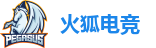 火狐电竞